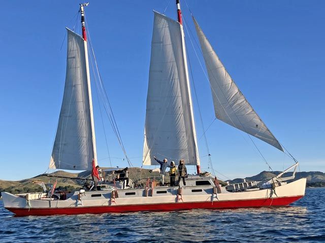 1464-0815